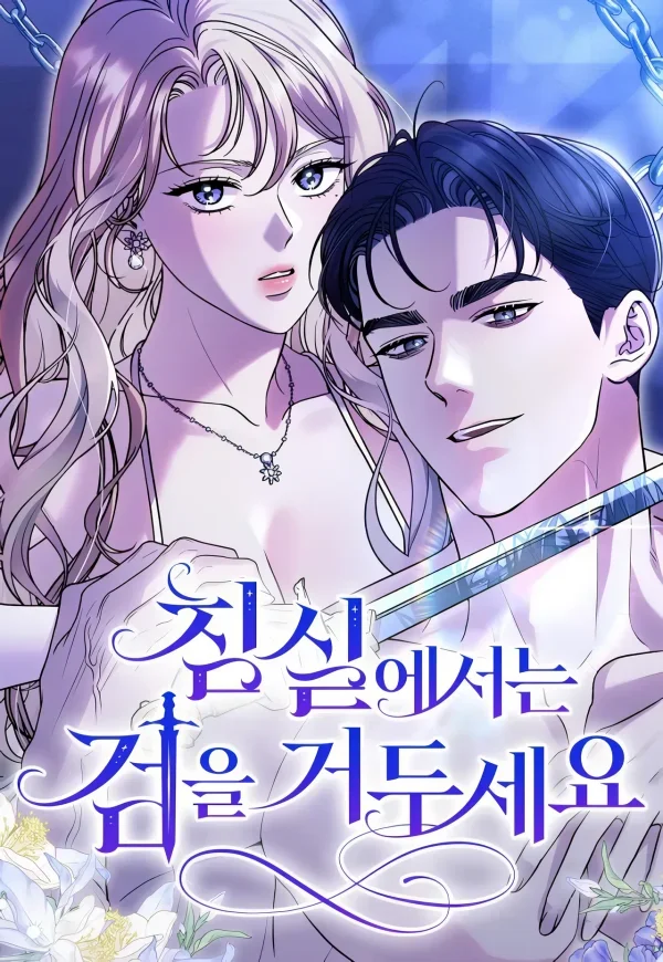 Sheathe Your Sword In The Bedroom cover