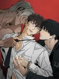 Recoil cover