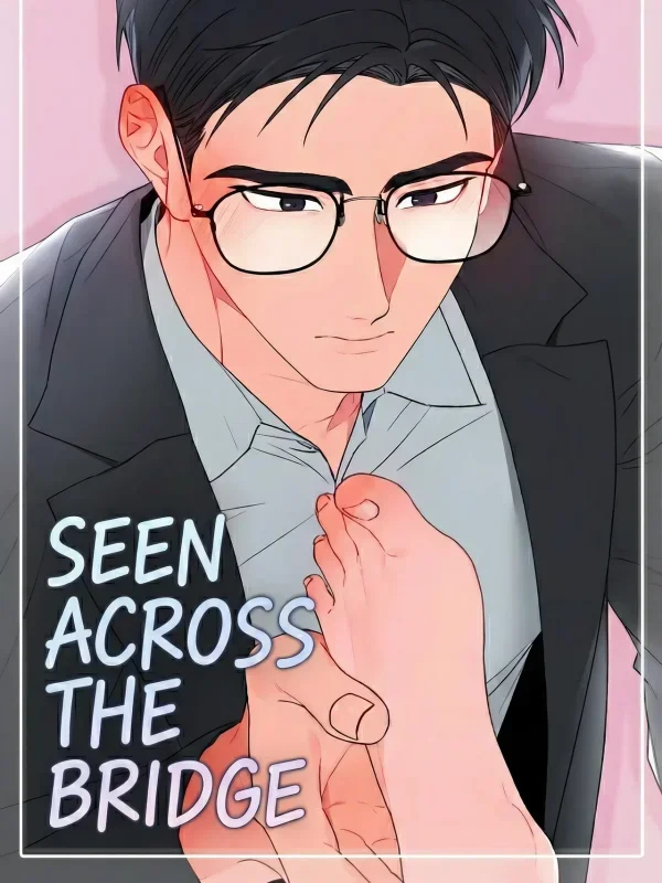 Seen Across The Bridge cover