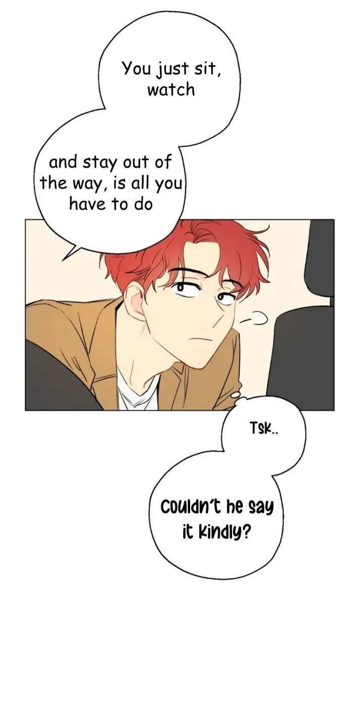 Chapter 2, page 17