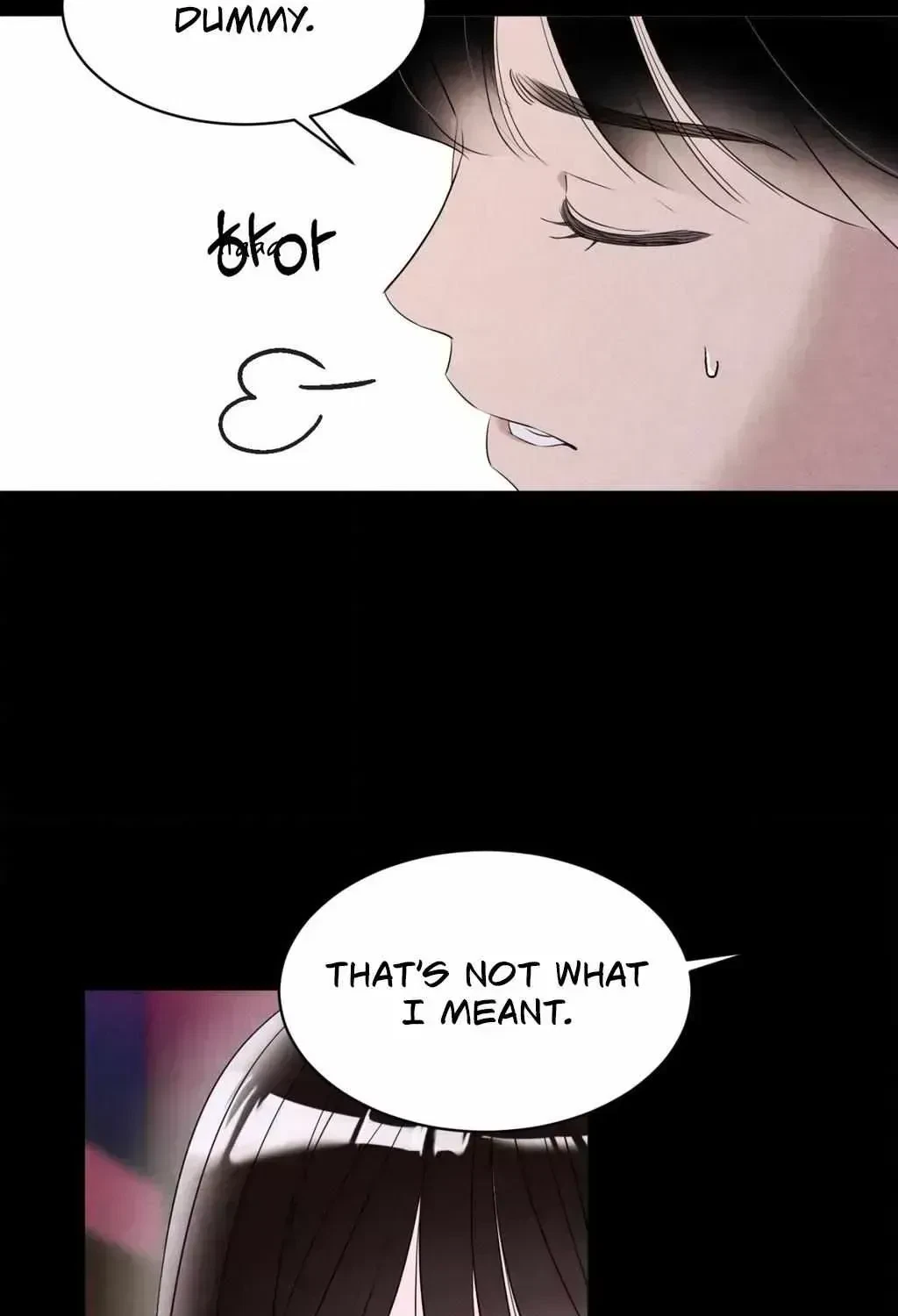 Chapter 2.4, page 102