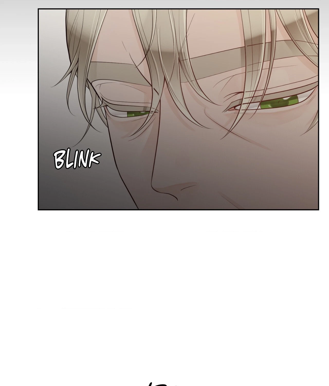 The Alpha's Mate Chapter 40, page 96