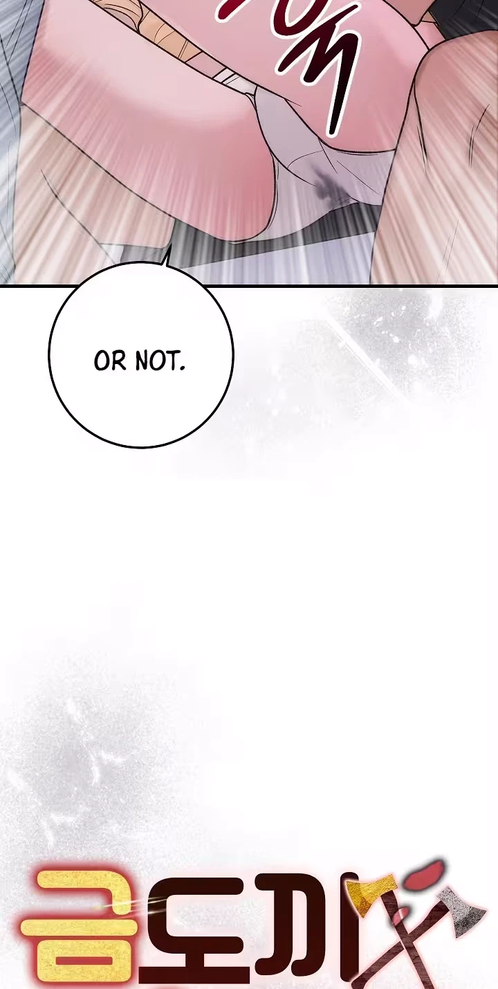 Chapter 4, page 17