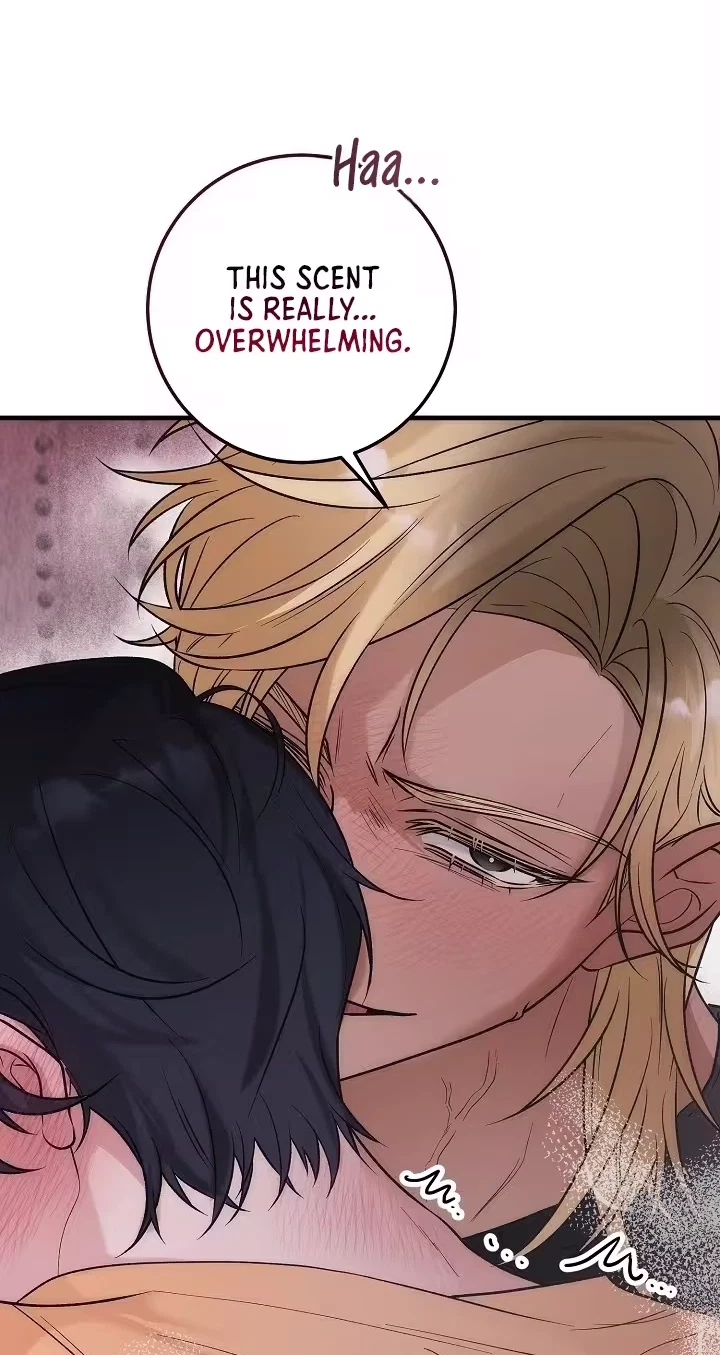 Chapter 4, page 7