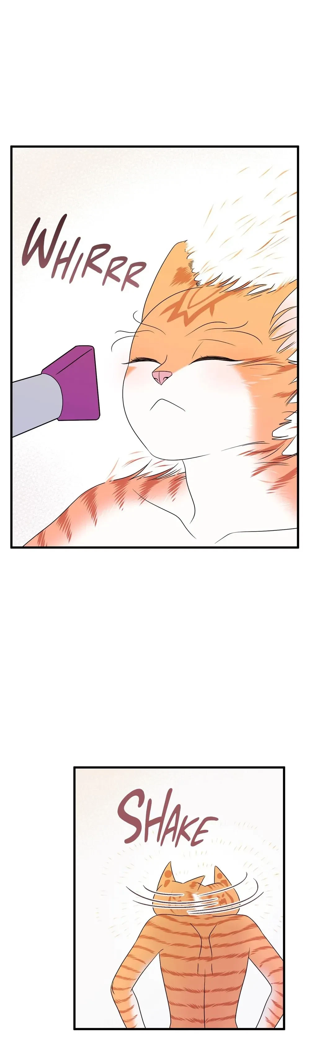 Chapter 16, page 38