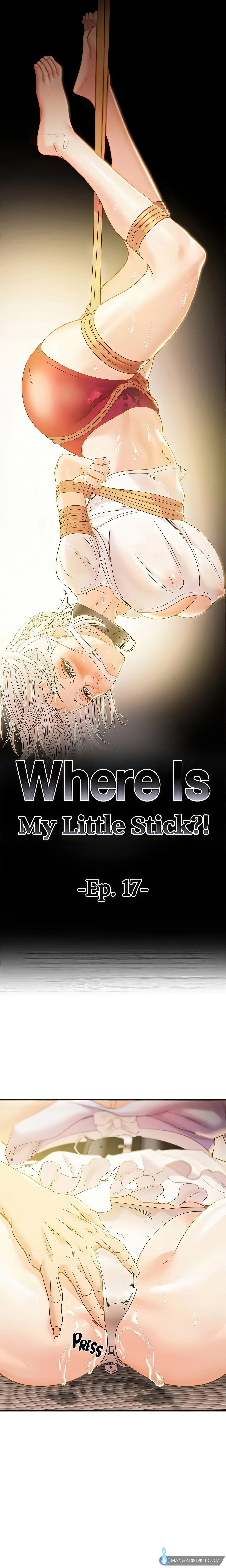 Where Is My Little Stick?! Chapter 17 (Uncensored), page 3