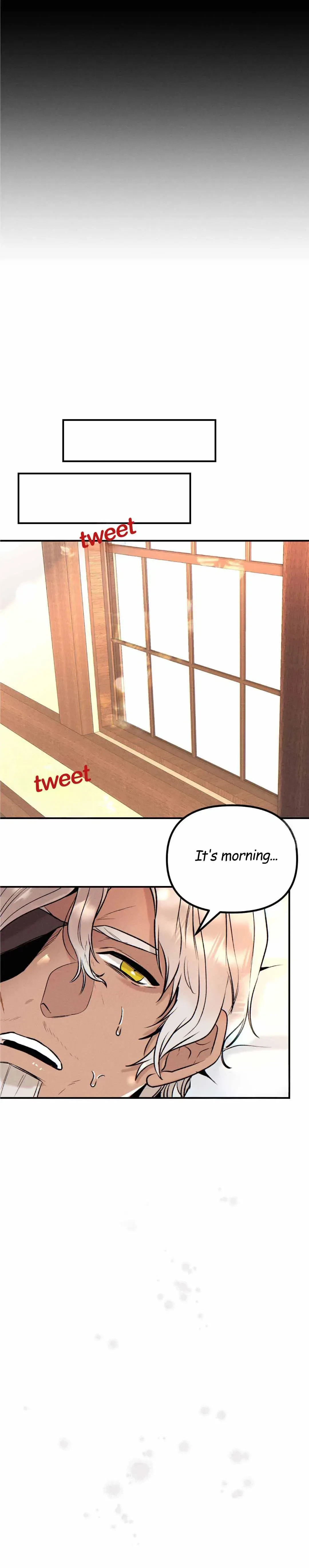 Chapter 2, page 13