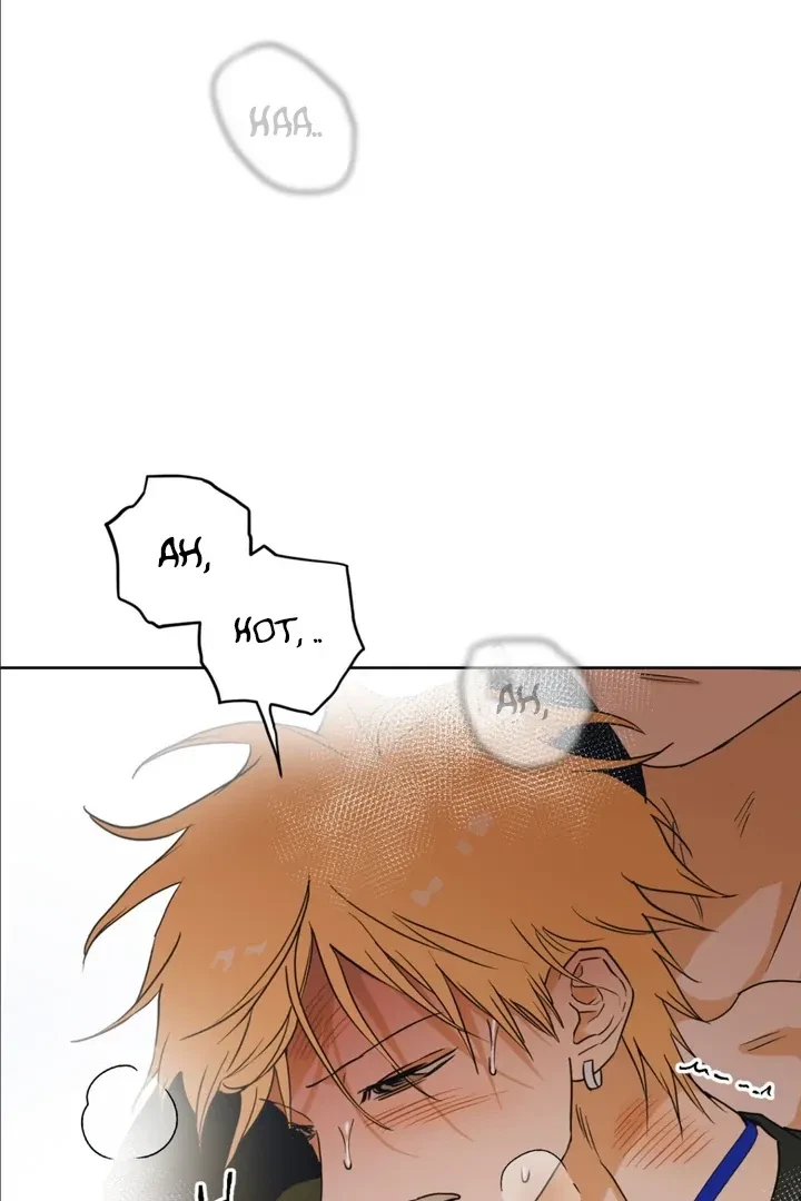 Chapter 3, page 134