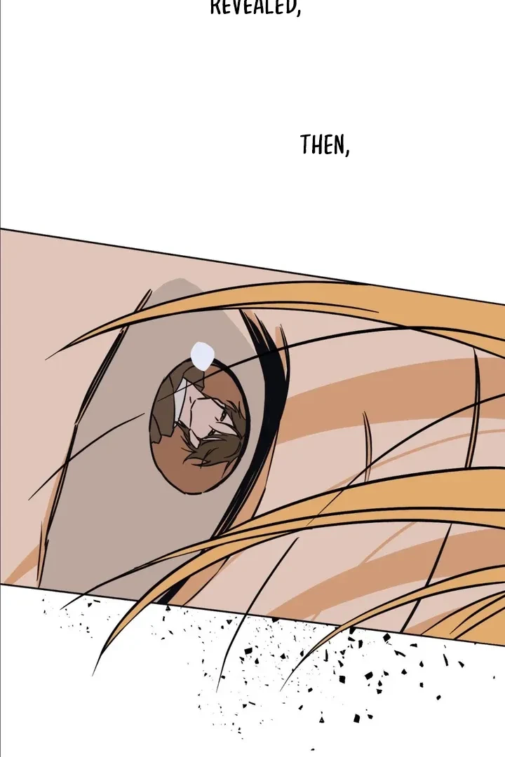 Chapter 3, page 146