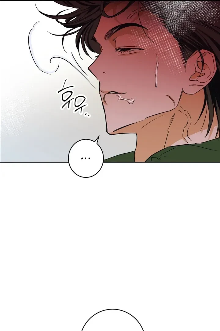 Chapter 3, page 66