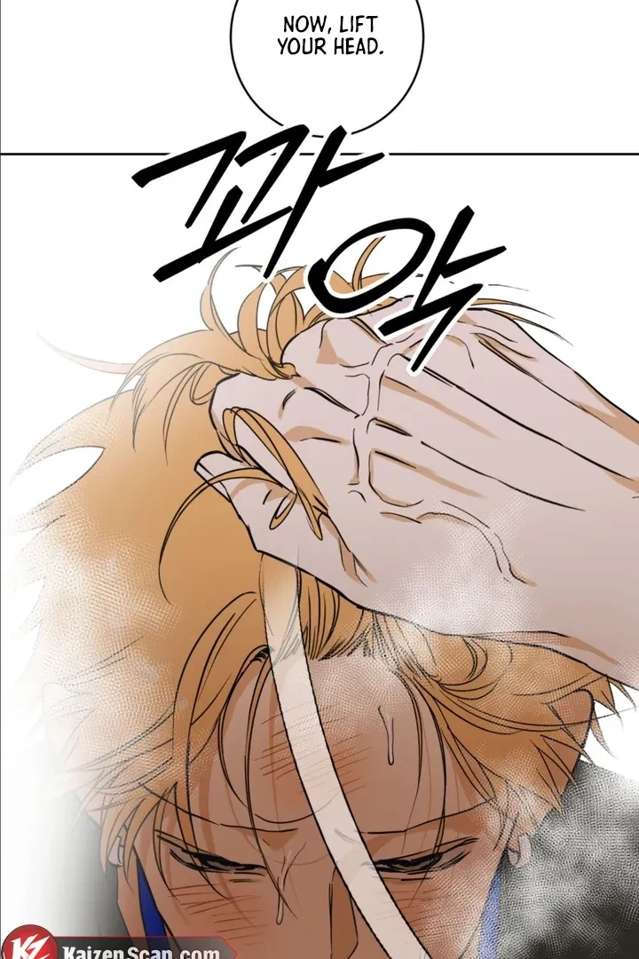 Chapter 3, page 67
