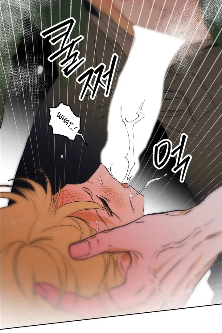 Chapter 3, page 76