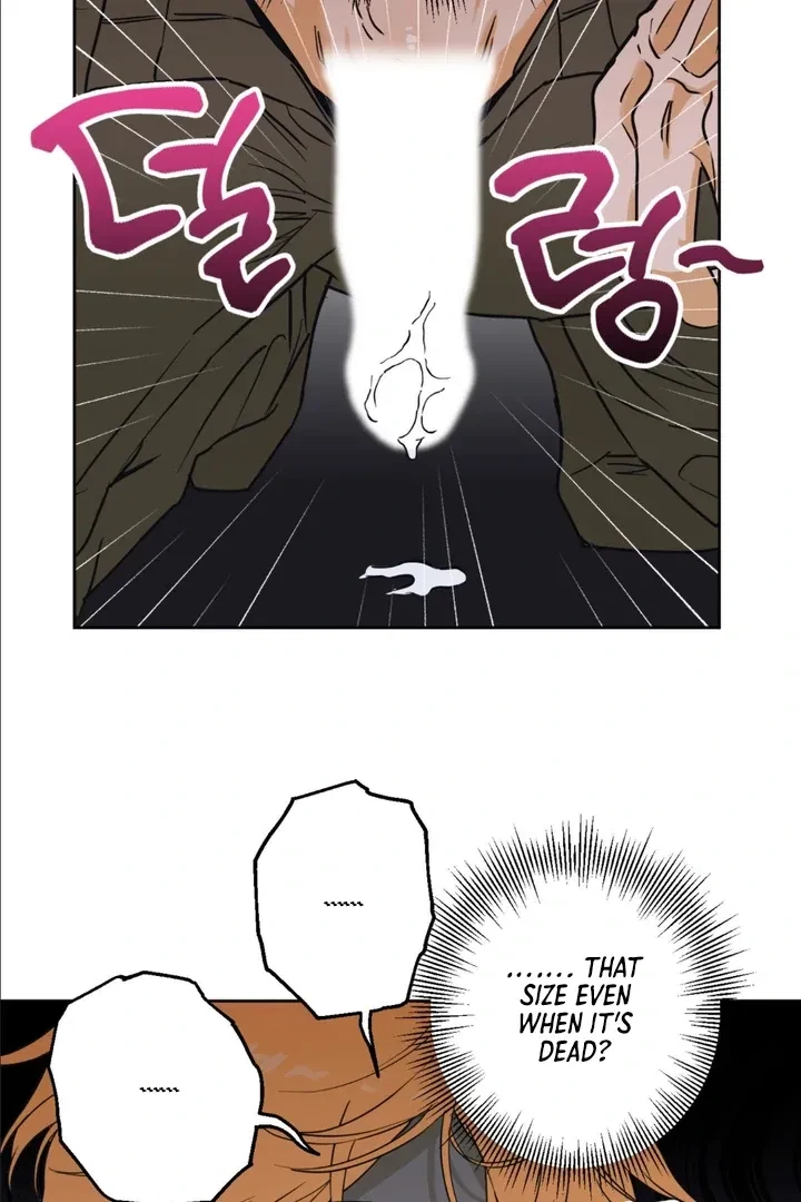 Chapter 3, page 99