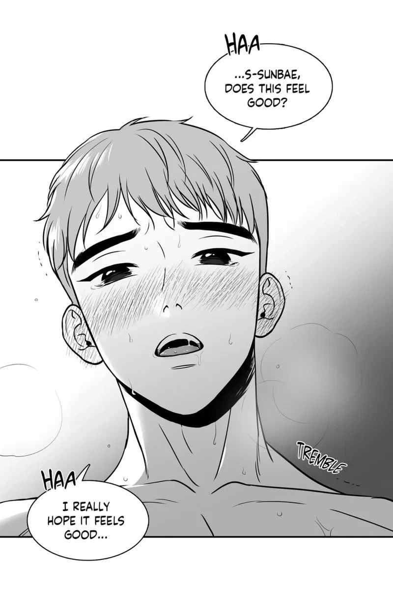 Chapter 66, page 20