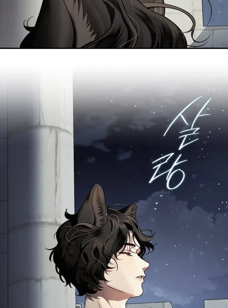 Chapter 5, page 97