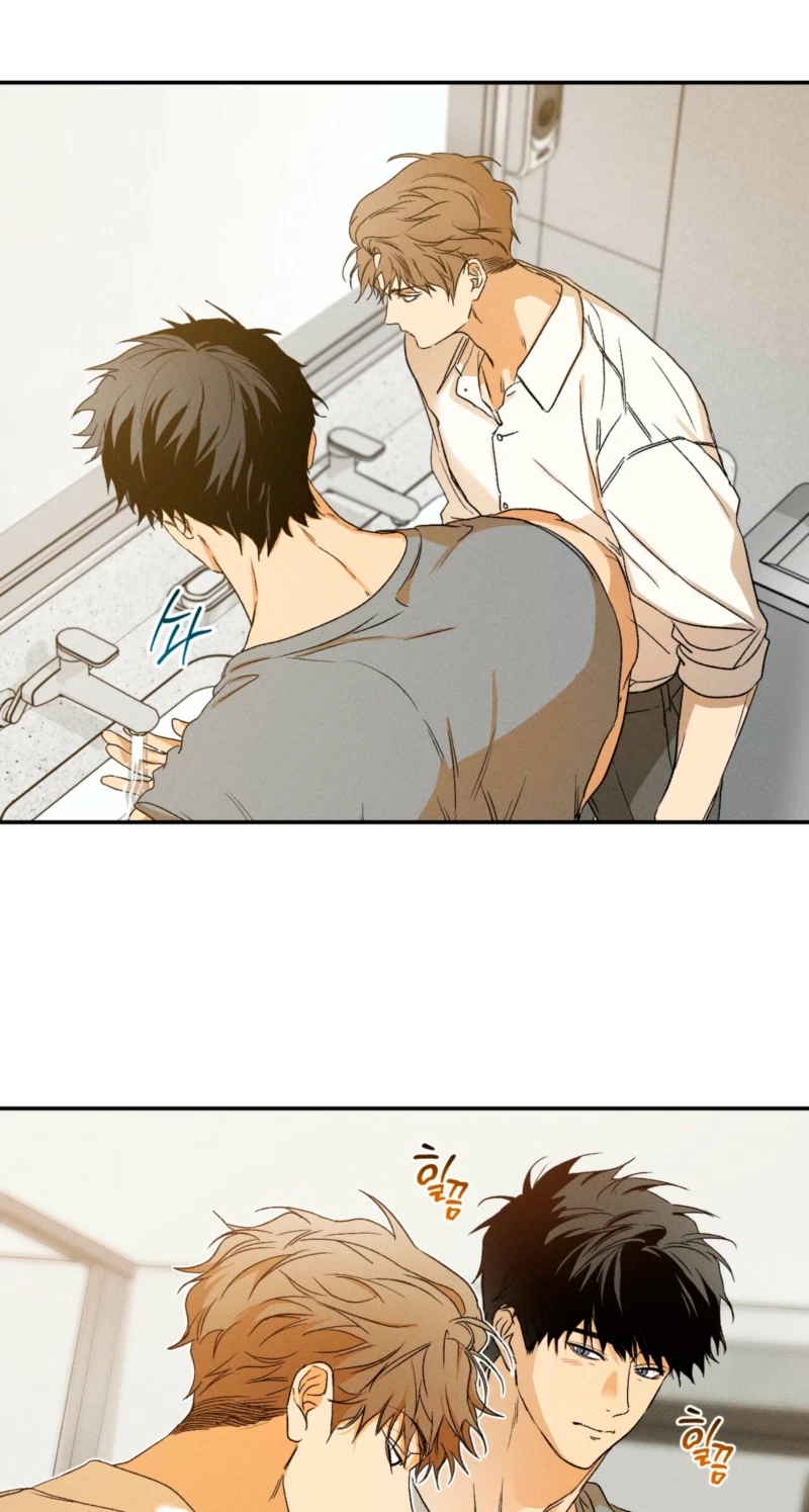 Chapter 19, page 15