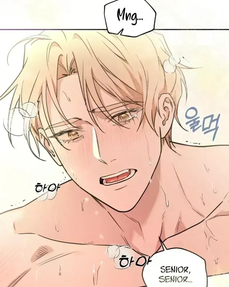 Chapter 1.7, page 6