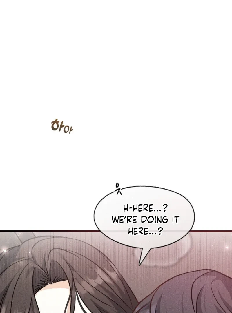 Chapter 4, page 63