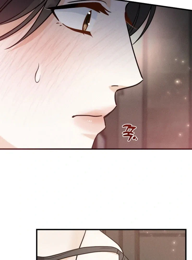 Chapter 4, page 72