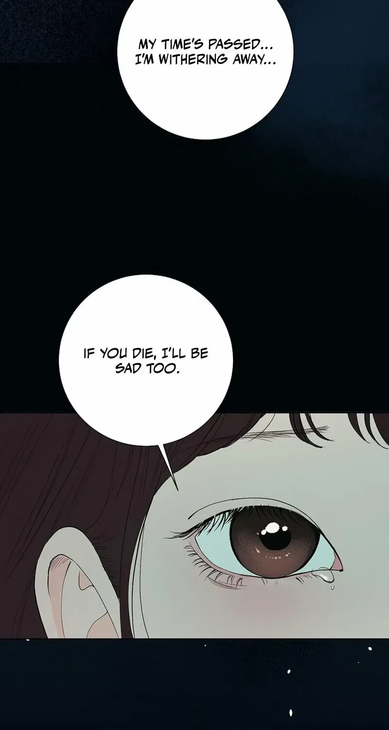 Chapter 37, page 111