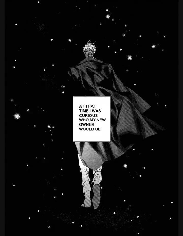 Chapter 11, page 21