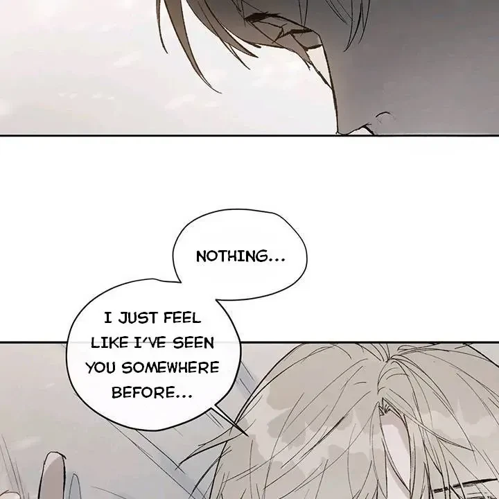 Chapter 1, page 19