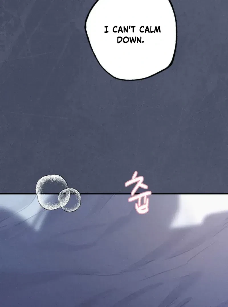 Chapter 1.1, page 101