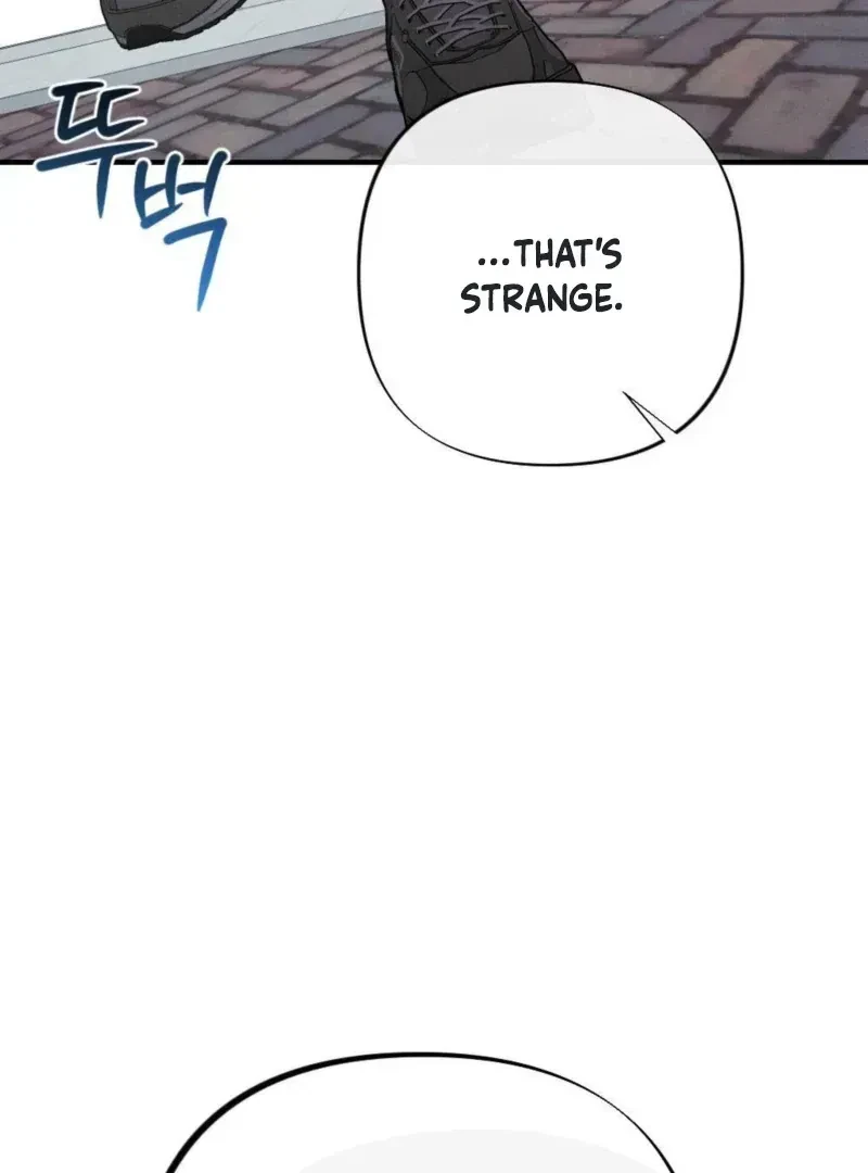 Chapter 1.1, page 19