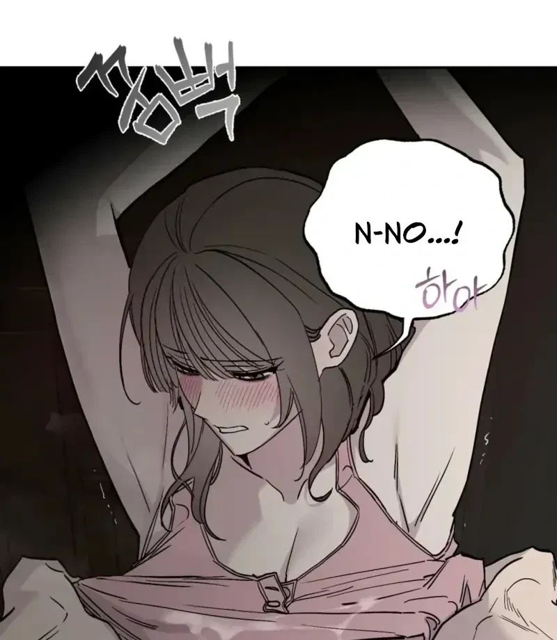 Chapter 2.1, page 102