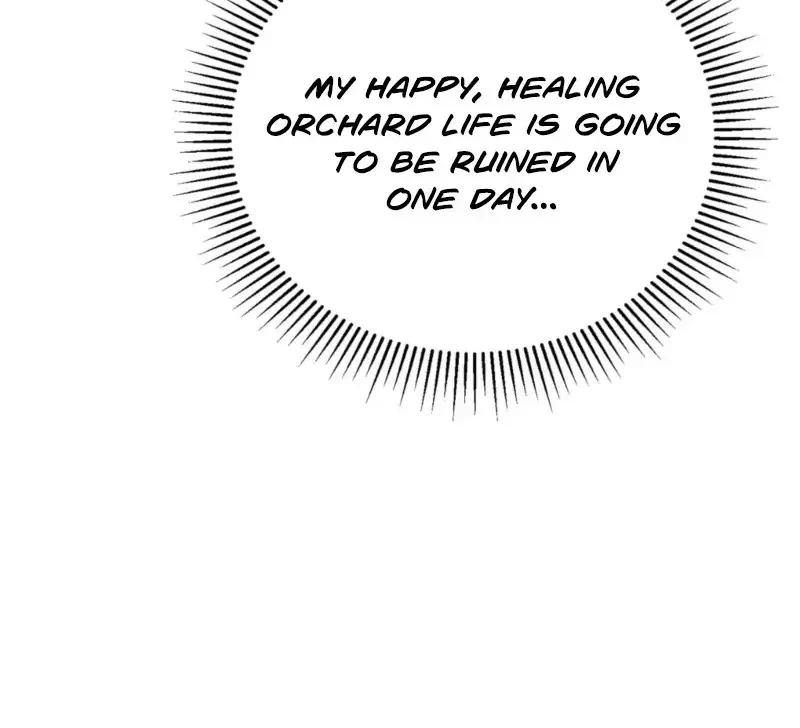 Chapter 2.1, page 13