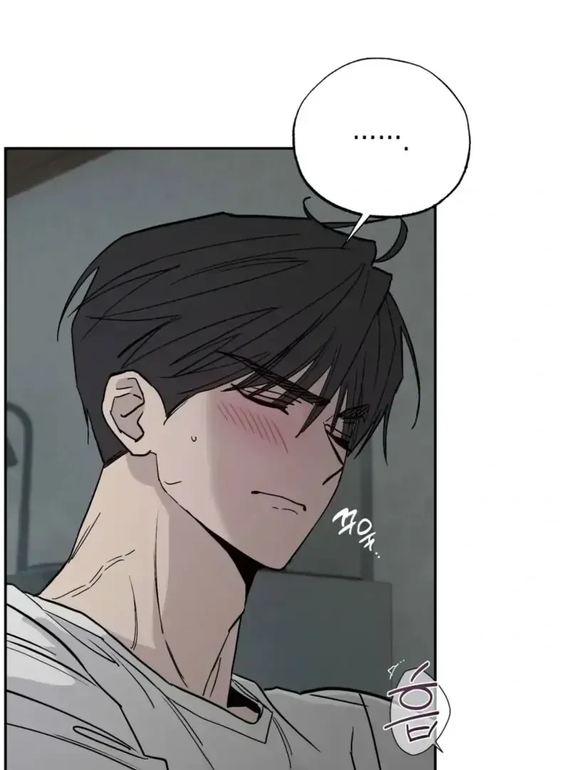 Chapter 2.1, page 97