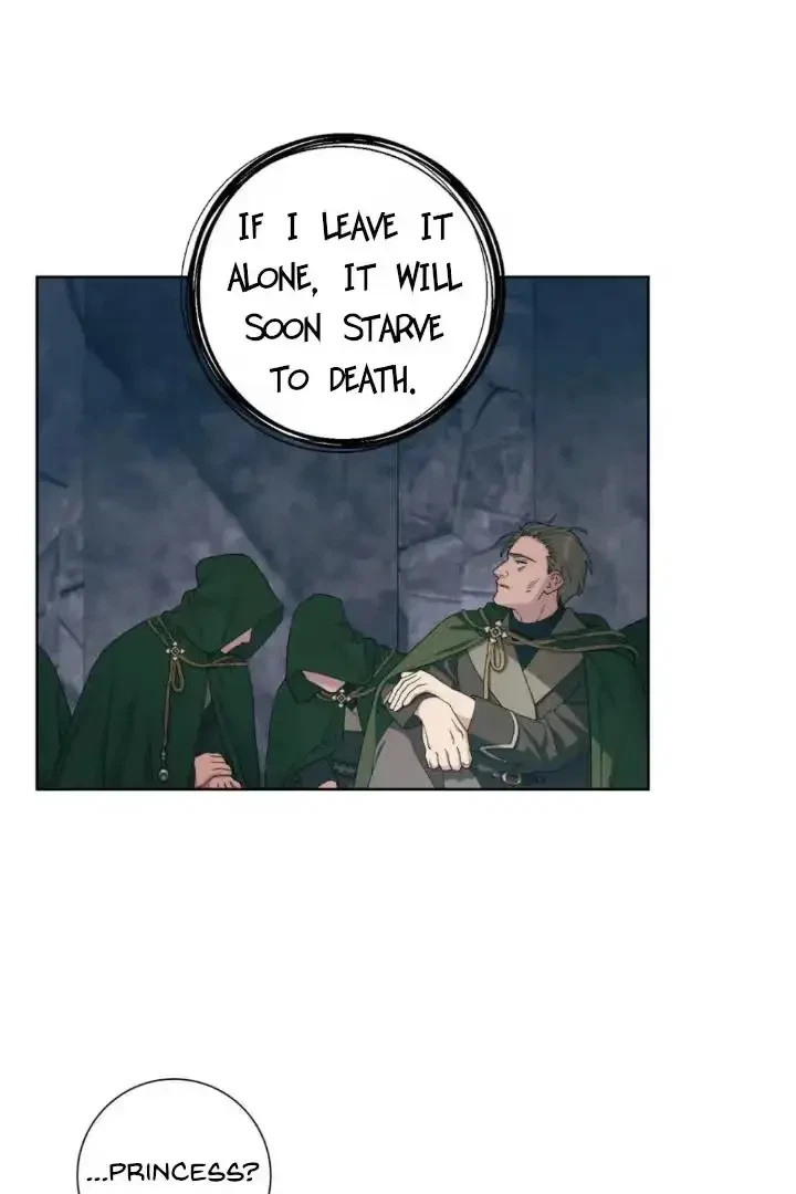 Chapter 7, page 23
