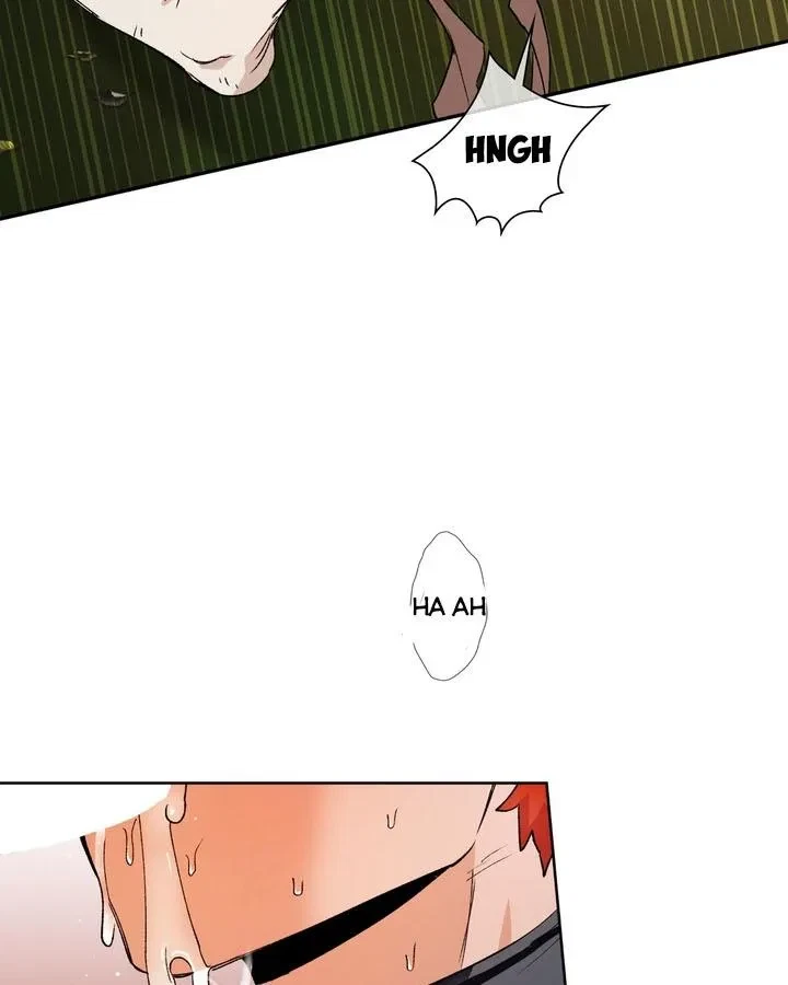 Chapter 3, page 23