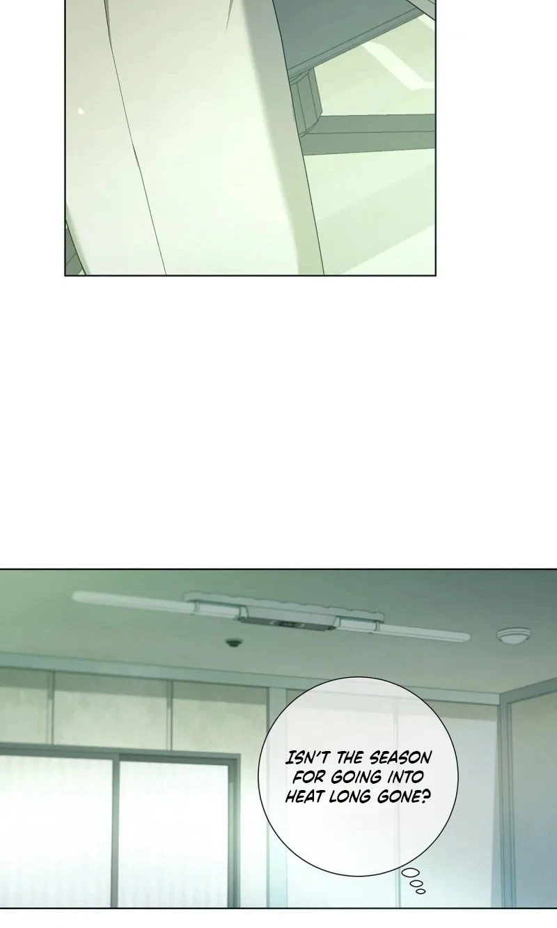 Chapter 71, page 66