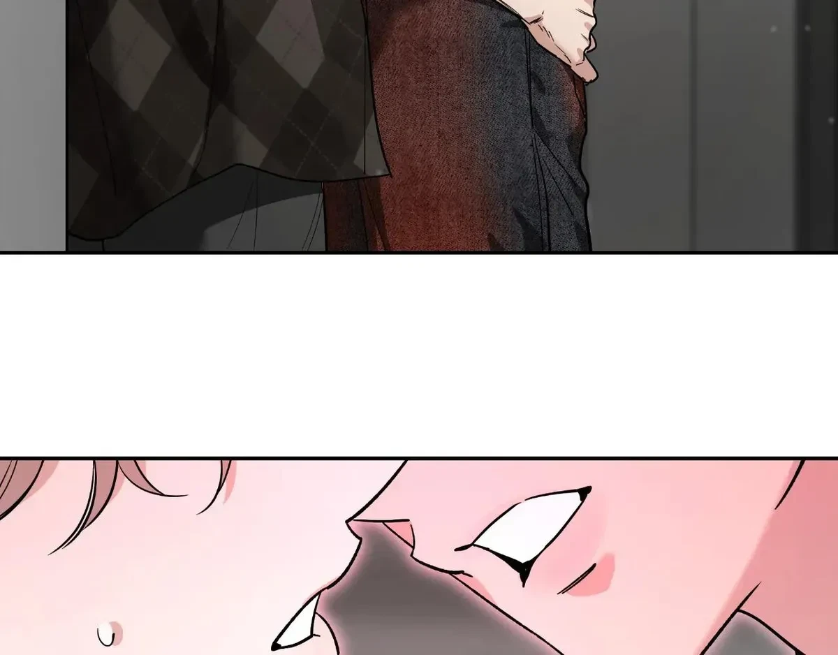 Side. : 12, page 85