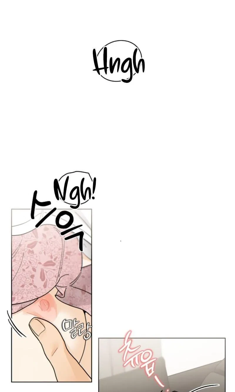 Chapter 65, page 49
