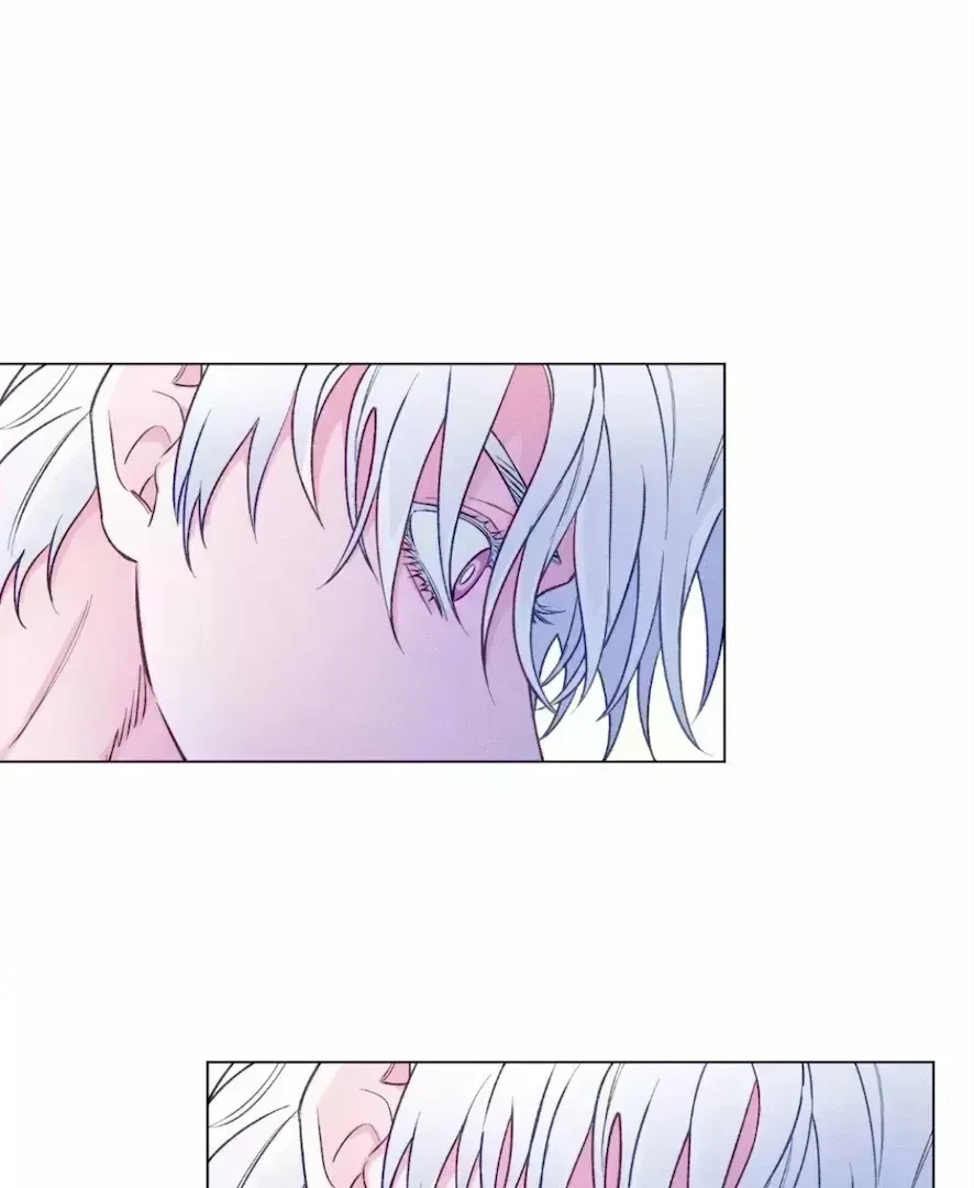 Chapter 3.8, page 24