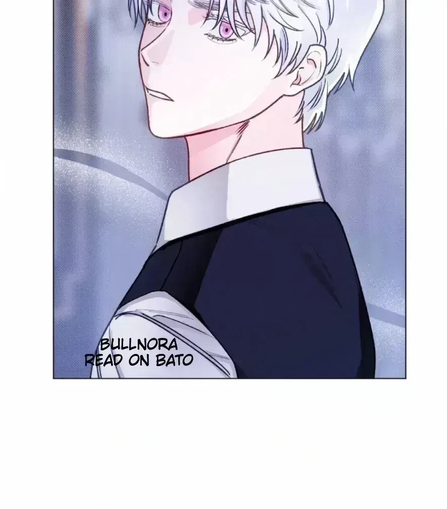 Chapter 3.8, page 49