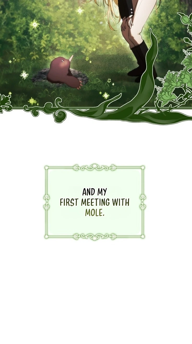 Chapter 3, page 31