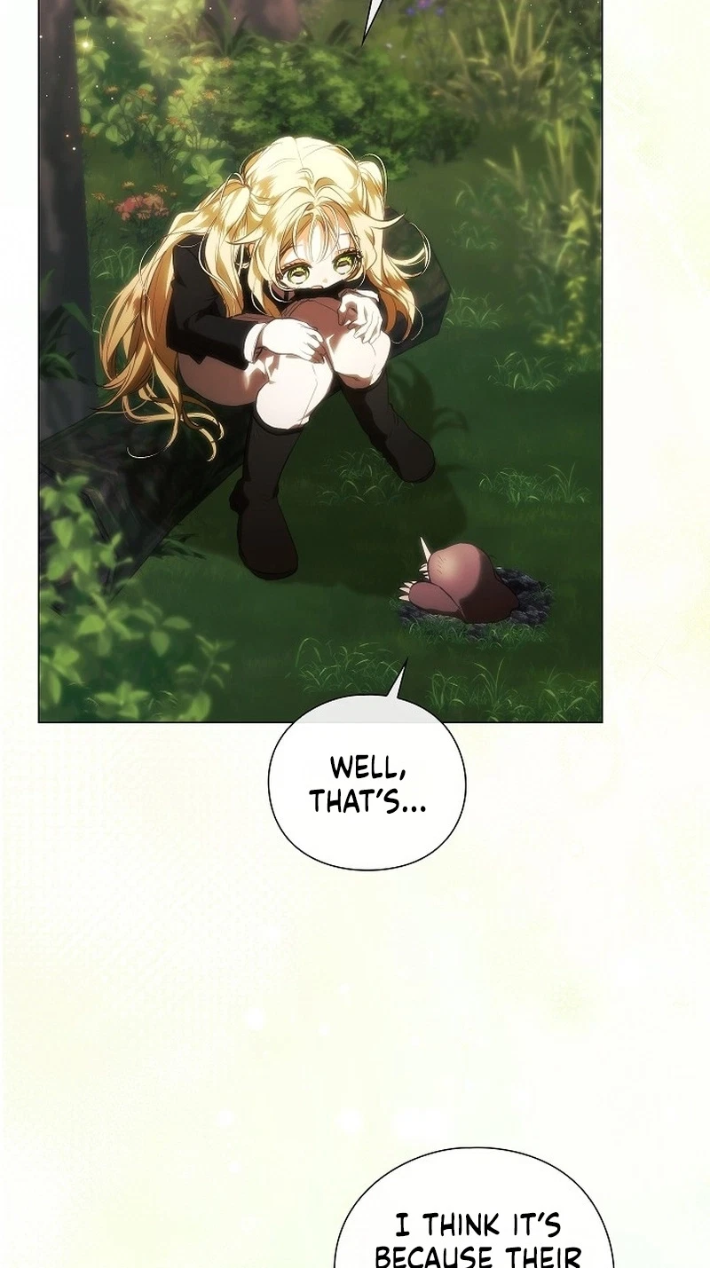 Chapter 3, page 34