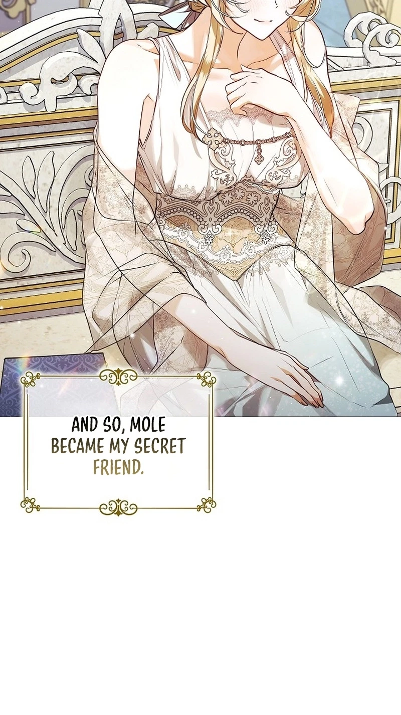 Chapter 3, page 42