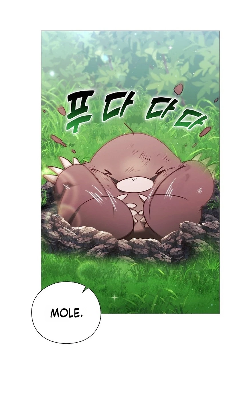 Chapter 3, page 43