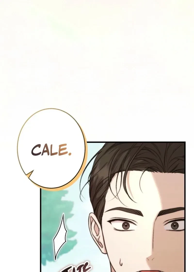 Chapter 2, page 62