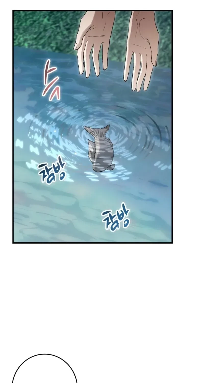 Chapter 2, page 71
