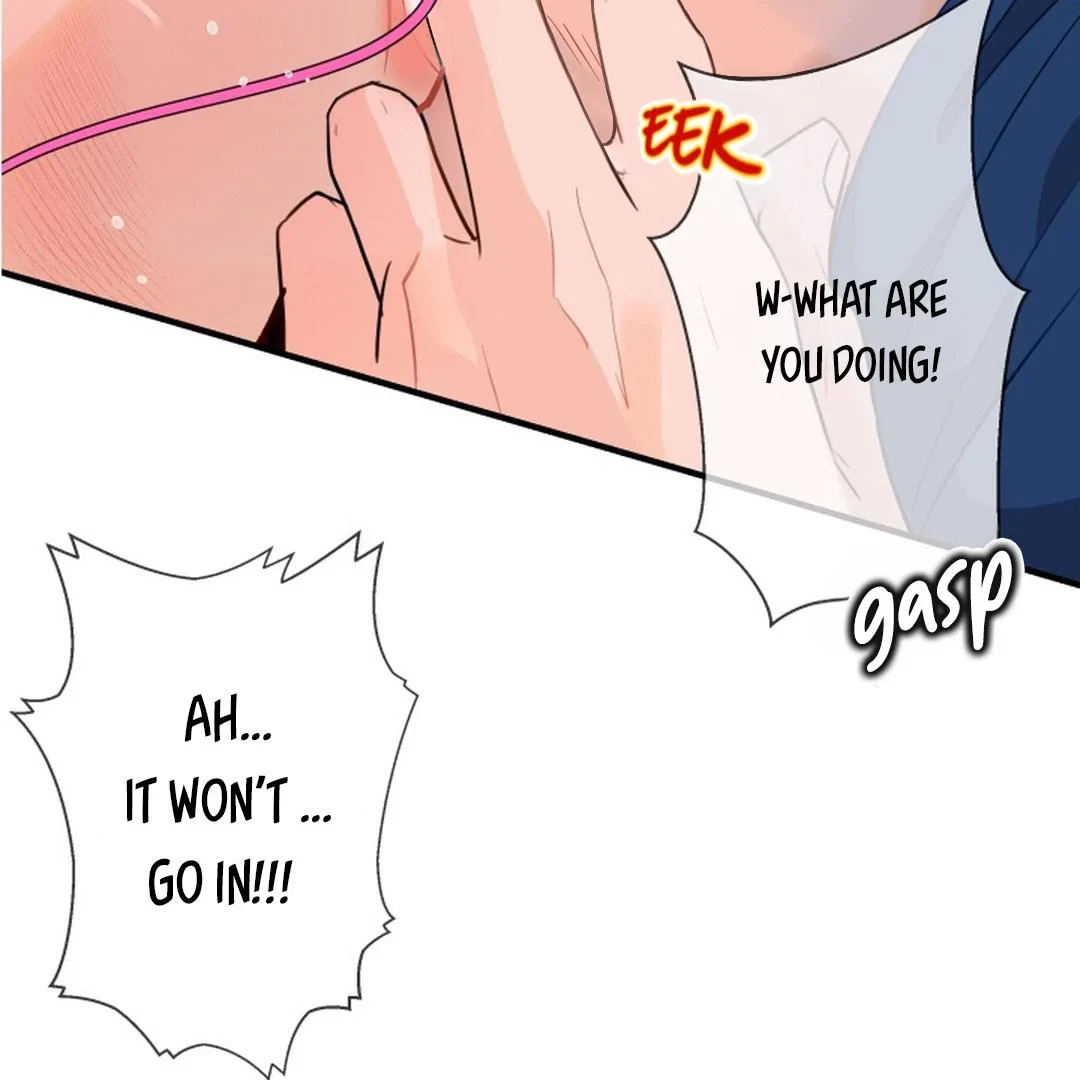 Chapter 4, page 106