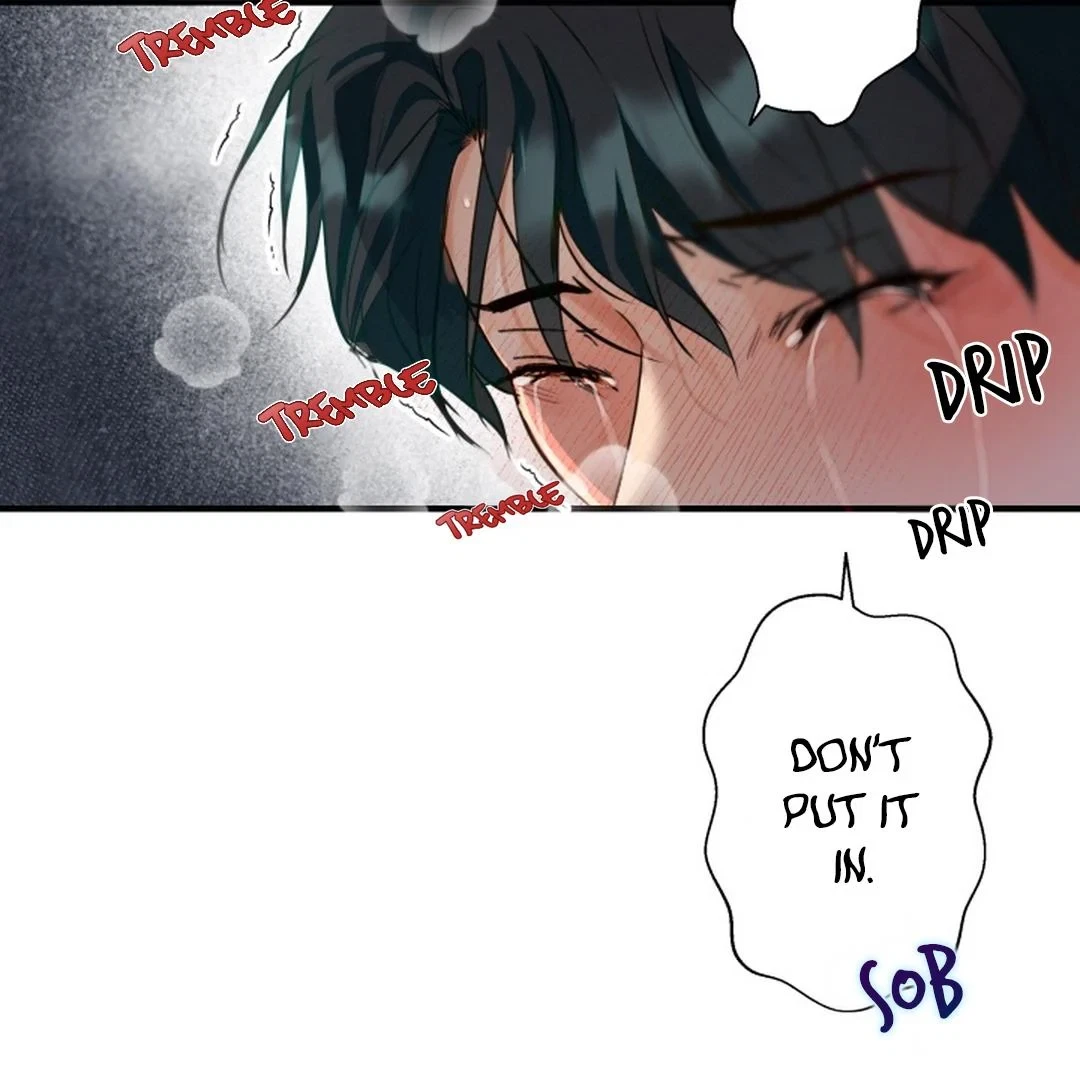 Chapter 4, page 61