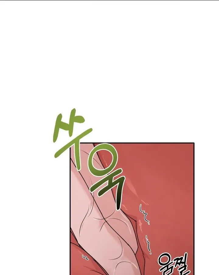 Chapter 4, page 52