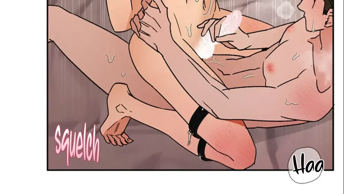Chapter 3, page 239
