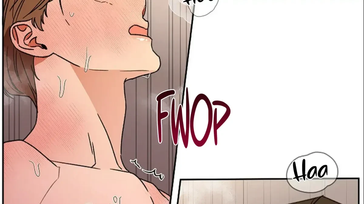 Chapter 3, page 242