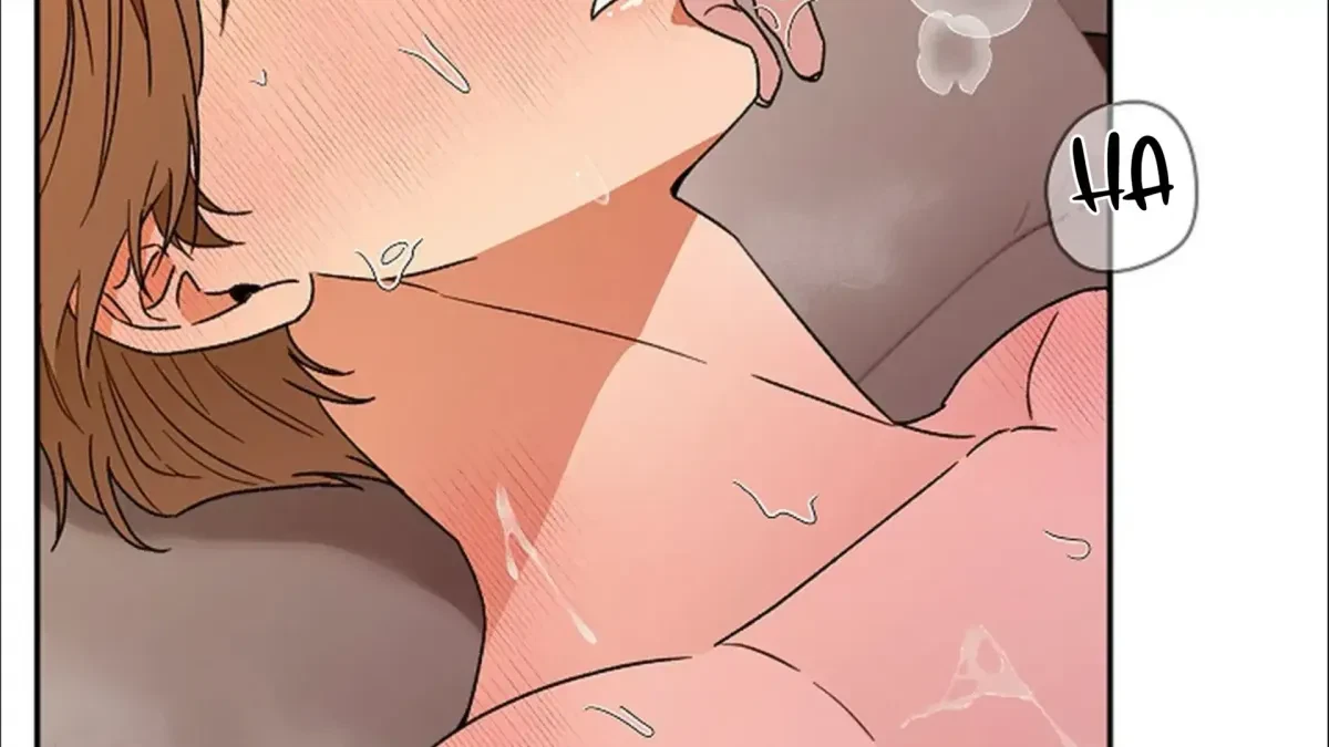 Chapter 3, page 266